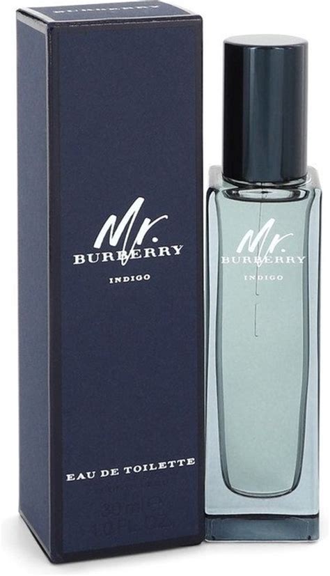 burberry mr burberry indigo eau de toilette spray stores